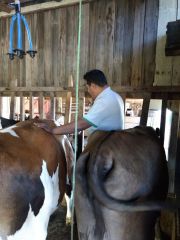 Aragano - Distribuidora de produtos veterinrios em Chapec -