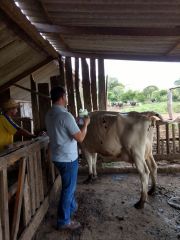 Aragano - Distribuidora de produtos veterinrios em Chapec -